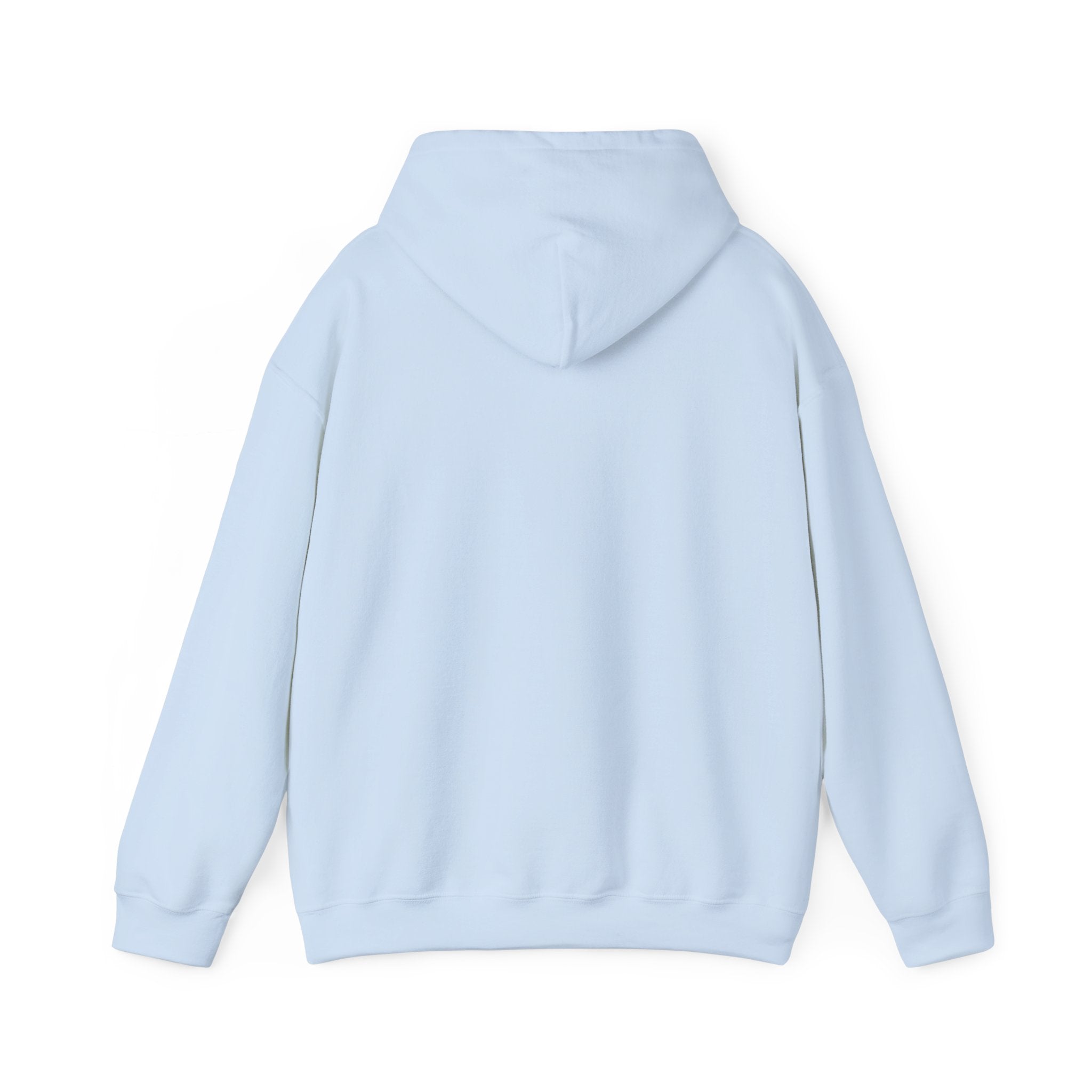 Arabic Calligraphy Hoodie — Dove & Traditional Motif