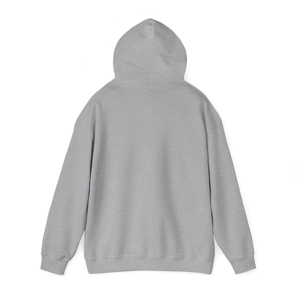 Arabic Calligraphy Hoodie — Dove & Traditional Motif