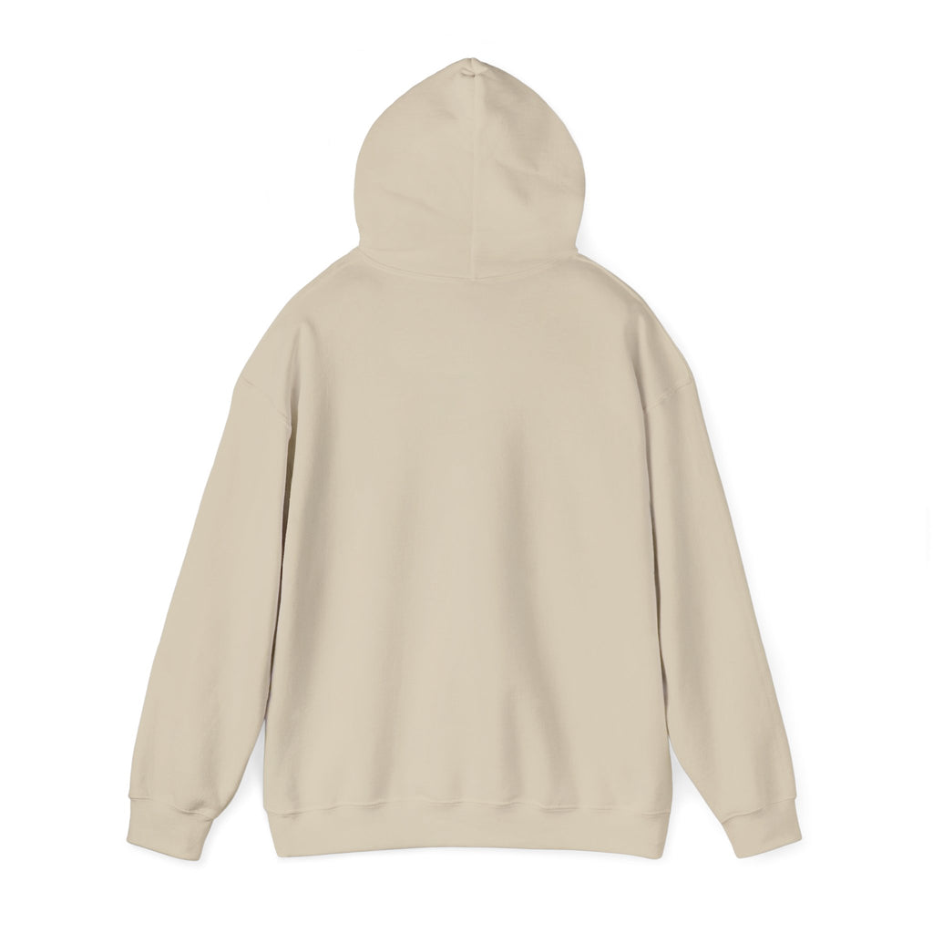 Arabic Calligraphy Hoodie — Dove & Traditional Motif